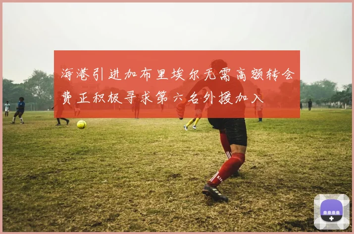 海港引进加布里埃尔无需高额转会费正积极寻求第六名外援加入