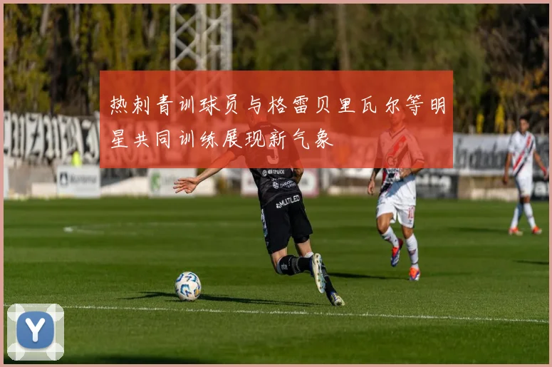 热刺青训球员与格雷贝里瓦尔等明星共同训练展现新气象