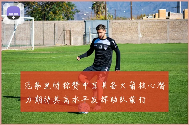 范弗里特称赞申京具备火箭核心潜力期待其高水平发挥助队前行